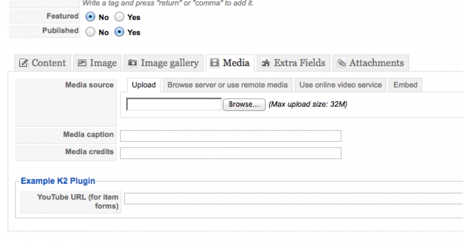 Image showing the plugin field displaying in the media tab