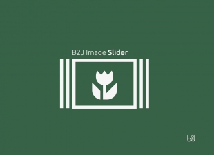 B2J Image Slider Module